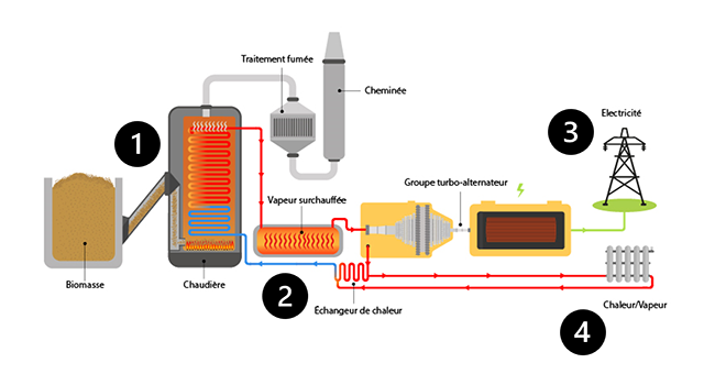 Production électrique par biomasse. Prod_biomasse_OFF